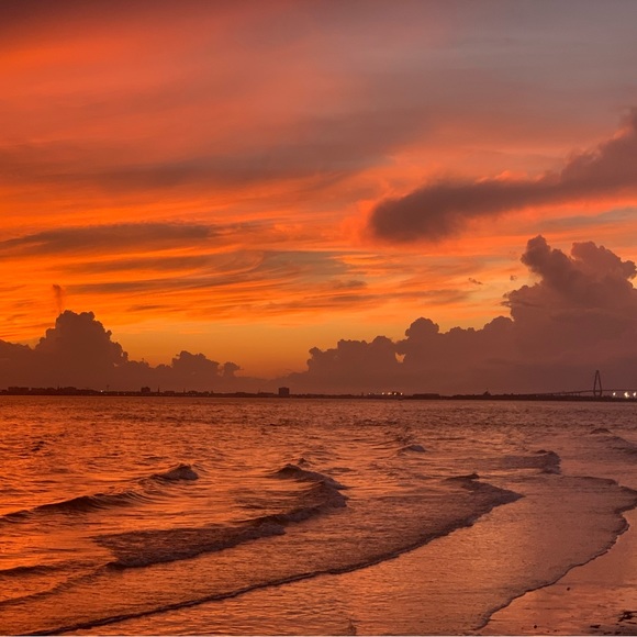 Meet your Posher, Robin - Picture 2 of 2